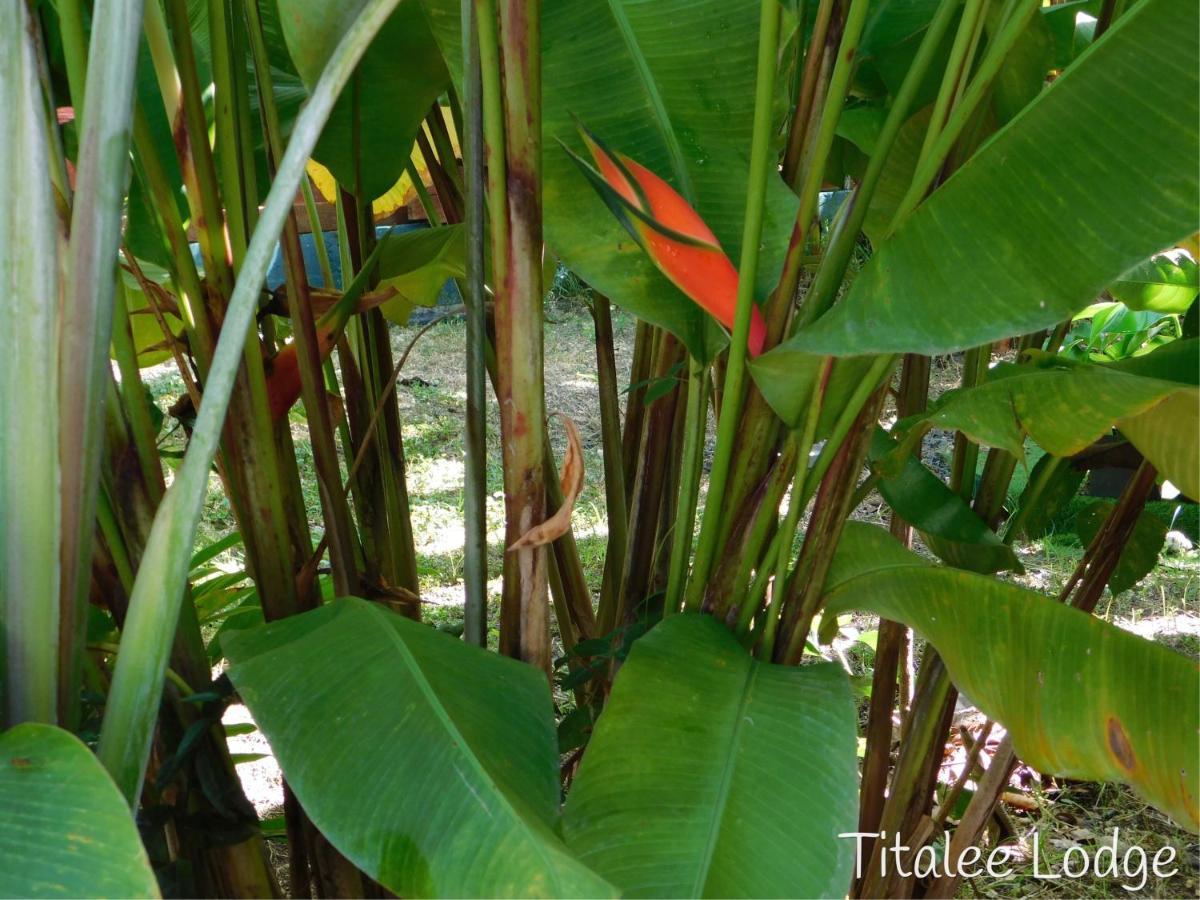 Titalee Lodge 3 Villas Autour D'Une Piscine Saint-Francois  Exterior foto
